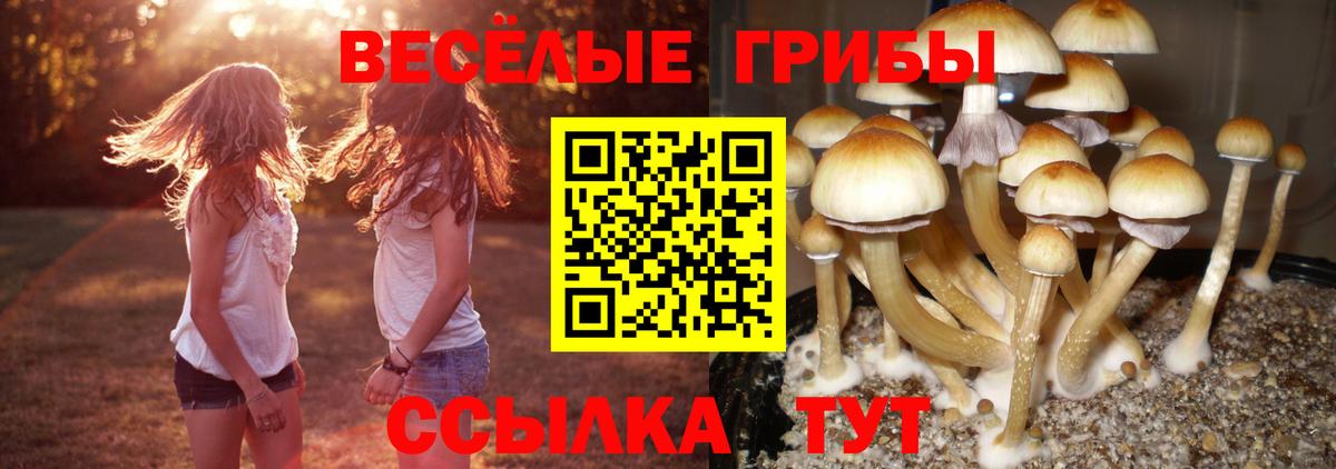Галлюциногенные грибы ЛСД Изобильный