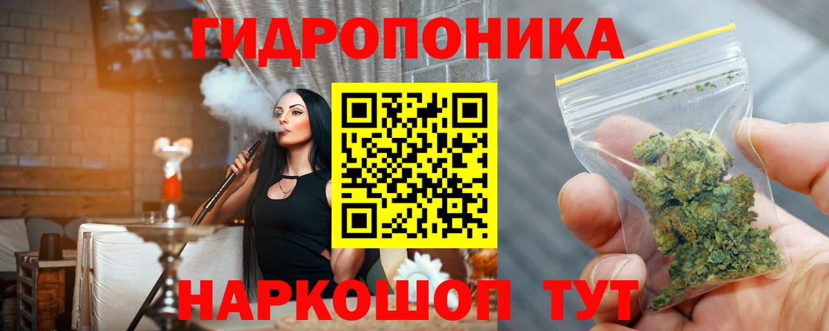 Шишки марихуана план  Вход с VPN  Канабис White Widow  Изобильный 